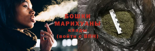 прущие грибы Кулебаки