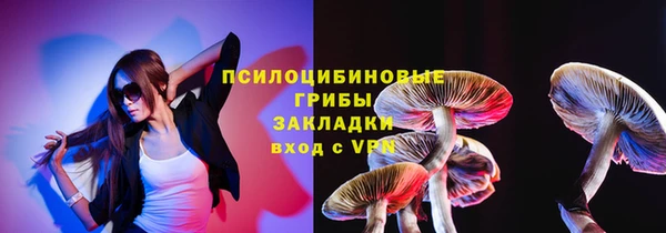 прущие грибы Кулебаки