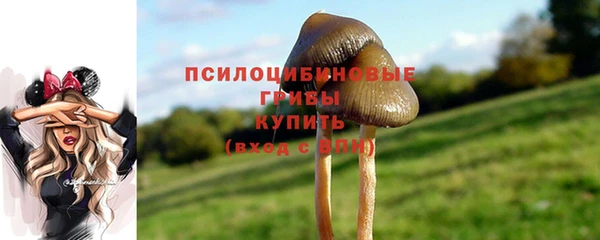 мескалин Куйбышев