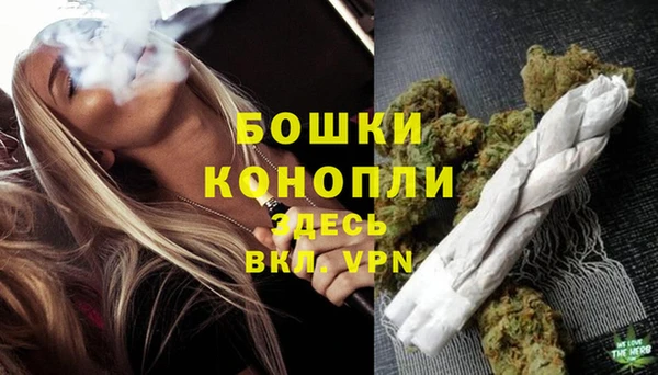 прущие грибы Кулебаки