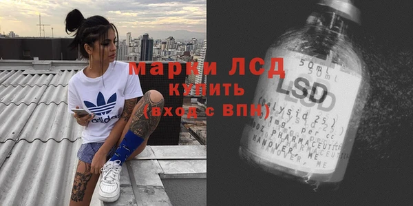 прущие грибы Кулебаки