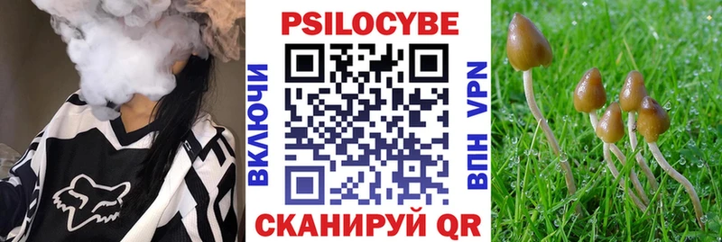Купить где  Бобров  Псилоцибиновые грибы Psilocybe 
